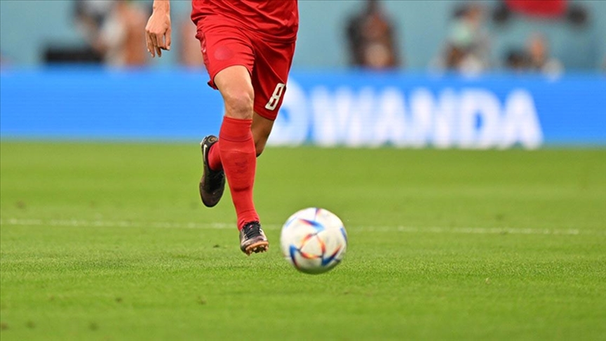 EURO 2024'te C Grubu: Danimarka